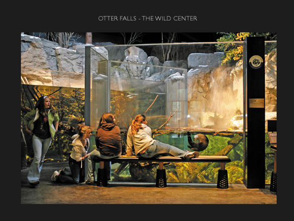 Image of Otter Falls at The Wild Center
