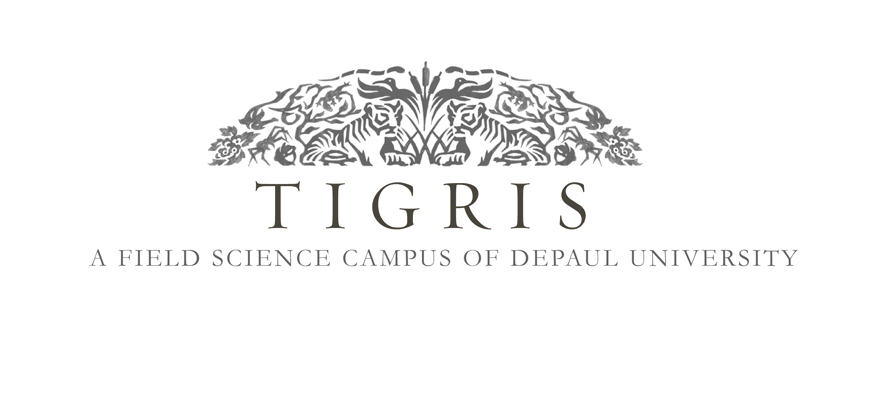 Logo for Tigris Campus